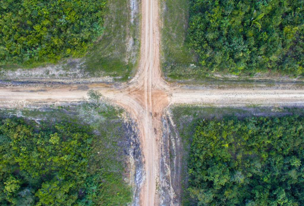Decision Paralysis